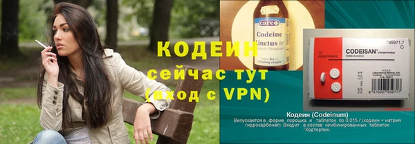 дживик Верхний Тагил