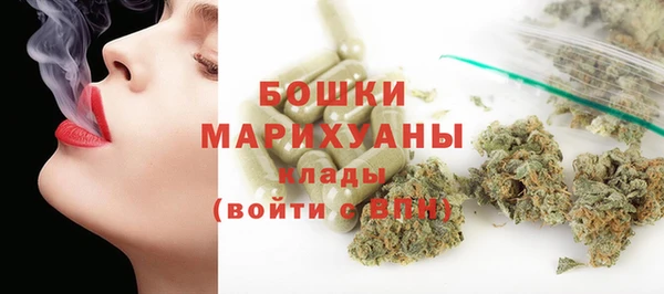 дживик Бородино