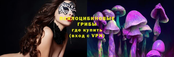 PSILOCYBIN Бугульма