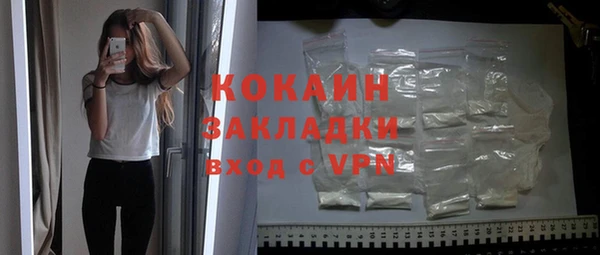 сатива Бронницы