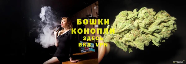 дживик Бородино