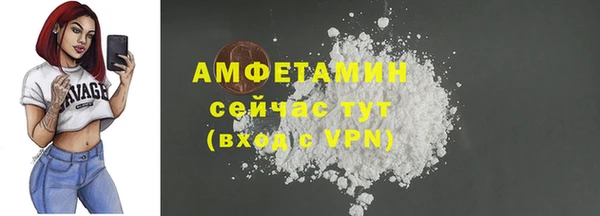 дживик Бородино