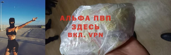 сатива Бронницы