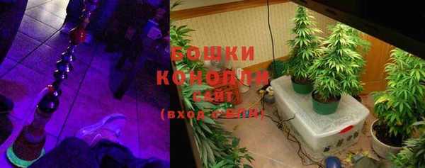 дживик Бородино