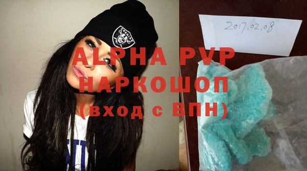 дживик Бородино