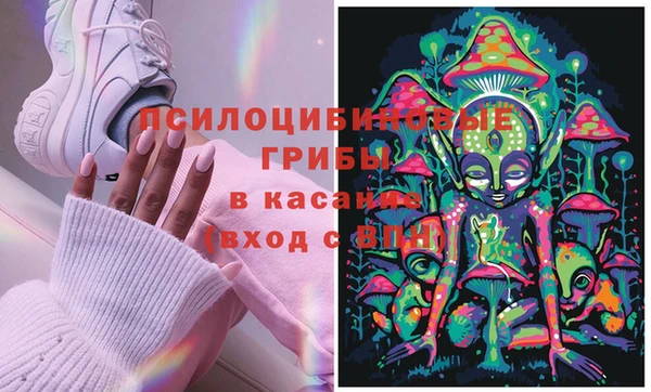 мяу мяу мука Верея
