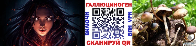 где можно купить наркотик  Дорогобуж  Псилоцибиновые грибы Psilocybine cubensis 